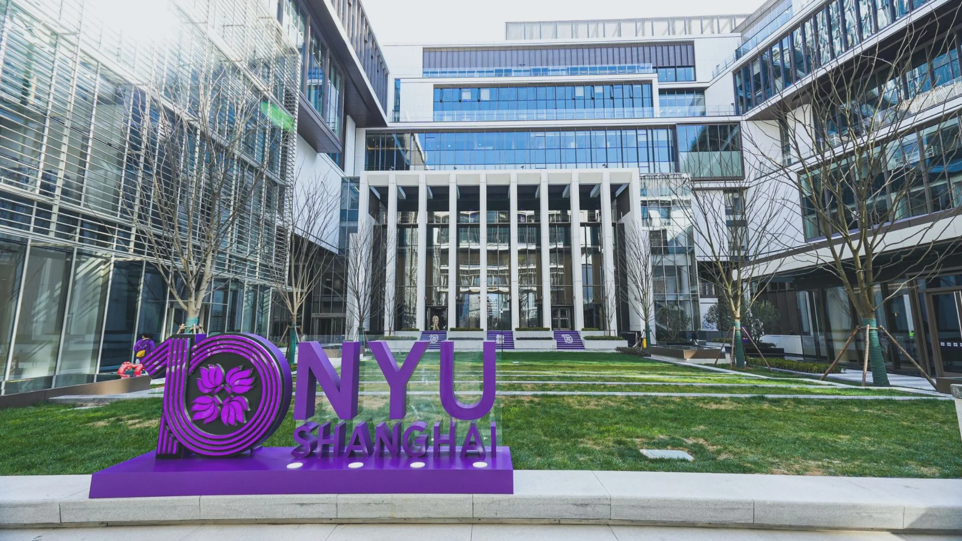 Exploring the Diverse Programs at New York University (NYU)